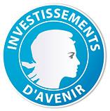 Investing for the future Investments for the Future: strategic initiatives launched in 2009 by the French Government, to boost French competitiveness by investing in Research, higher education and