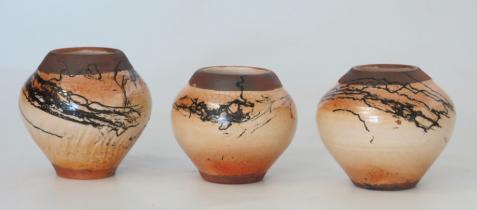 In order, L to R, 225 Naked Raku, $60; 364,$40 361, $45 369,$35 242,$45 260-13 Carbon Black #361-369 autumn lustre on white crackle glaze with horsehair