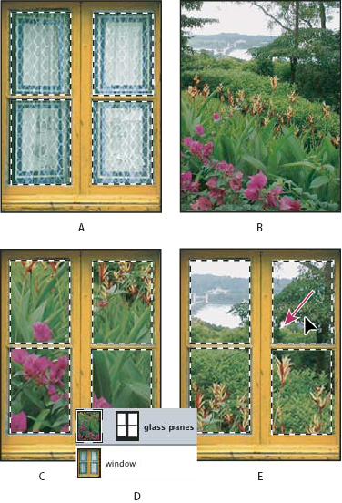 2. Select the part of the image into which you want to paste the selection. The source selection and the destination selection can be in the same image or in two different Photoshop images. 3.