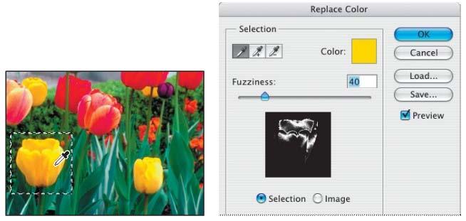 4. Use the eyedropper tool and click anywhere in the yellow tulip in the image window to sample that color. 5.