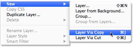 Step 3: Copy The Selection To A New Layer Next, we'll copy our selection to a new layer.