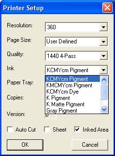 Figure 4 Setup option within the Print Dialog In the Setup option of the Print Dialog you just want to make sure you have the correct ink setting for the type of ink you have in your printer and per