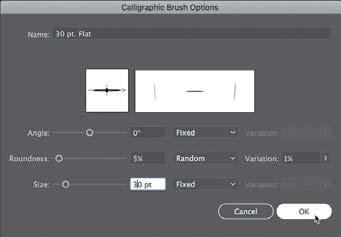 Tip: The Preview window in the dialog box (below the Name field) shows the changes that you make to the brush. 2 In the dialog box, make the following changes: Name: 30 pt.
