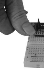 The breadboard has rows of holes, into which you