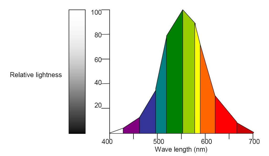 The yellow and green wavelengths register the highest on the lightness axis.