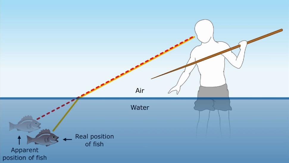 5. When light travels from air to water, does the refracted ray bend towards or away from the normal? 6.
