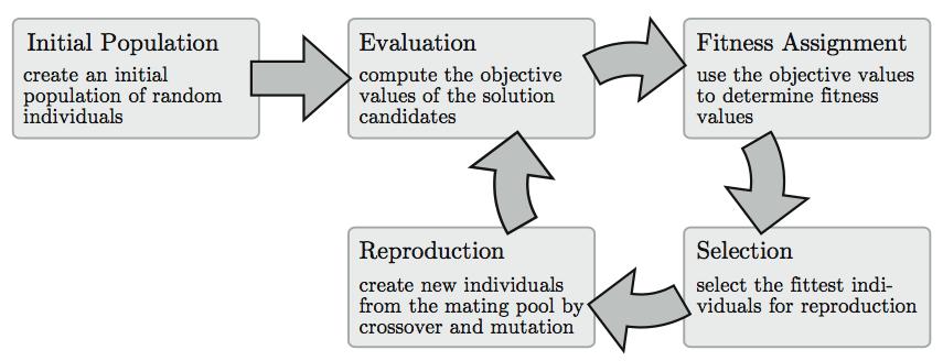 21 4. Global Optimization Basic cycle of evolutionary algorithms