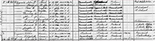 1914 marriage record Parents of Rose Fitzgerald 1900 census 1900 census important columns Marriage data