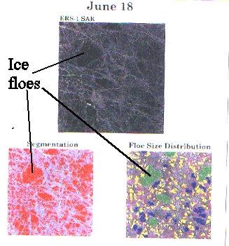 Ice flow detection with SAR Ice floes appear darker due to the presence of a layer of melt water overlying the ice surface The presence of