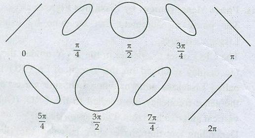 the ellipse appears as shown C.