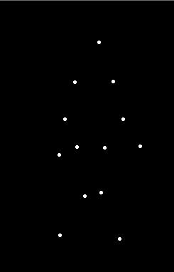 6 Biological Motion Dot Walker Johansson (1973) attached small points of