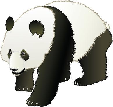 Endangered species: A label for an animal or plant that means there are very few left in the world (there are about 1600 giant pandas left in the world).