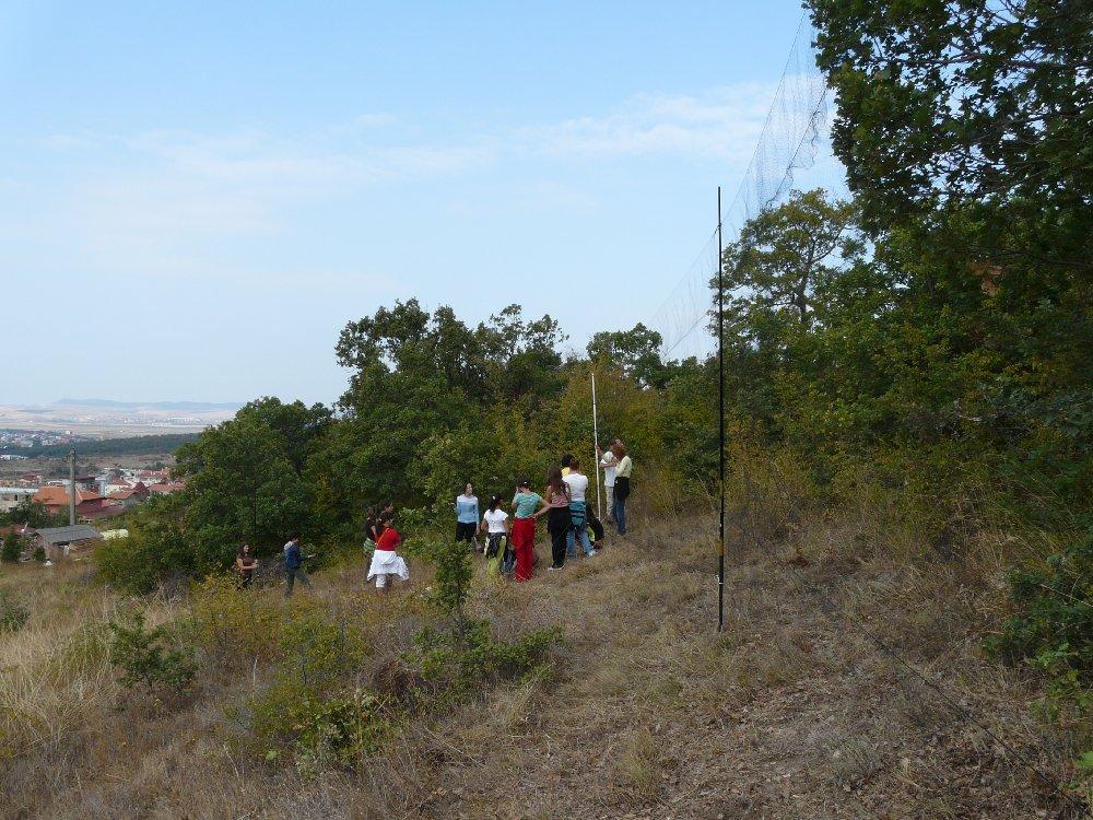 An ornithological expedition with participants