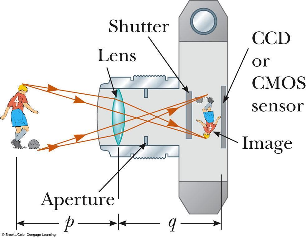 Digital Camera Image is formed on an electric device CCD Chargecoupled device CMOS Complementary
