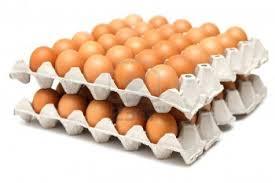 2. The egg tray function is facilitate production operators put eggs on egg tray and facilitate the operator in the process of classification of eggs and avoid egg is broken
