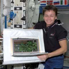 space Biotechnology research and
