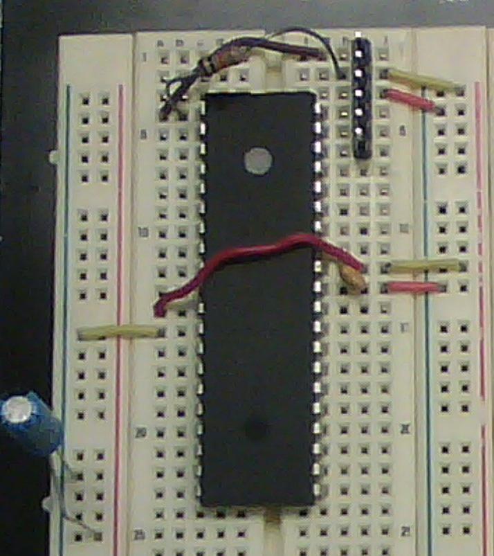 Hooking up the PIC on the Breadboard: We are going to use this set up for several labs, so we want you to lay out the boards as we describe here.