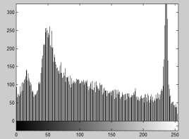 Zoomed view of a subpart of original image Figure9. Histogram of 2 nd of original image Figure6.