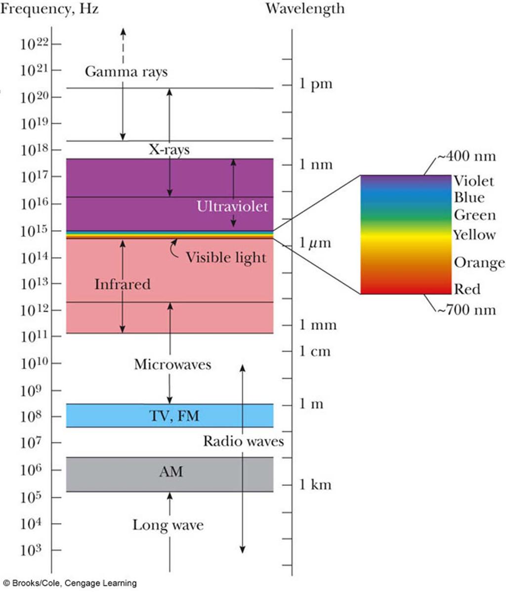 The EM Spectrum Note the overlap between types of waves Visible light is a