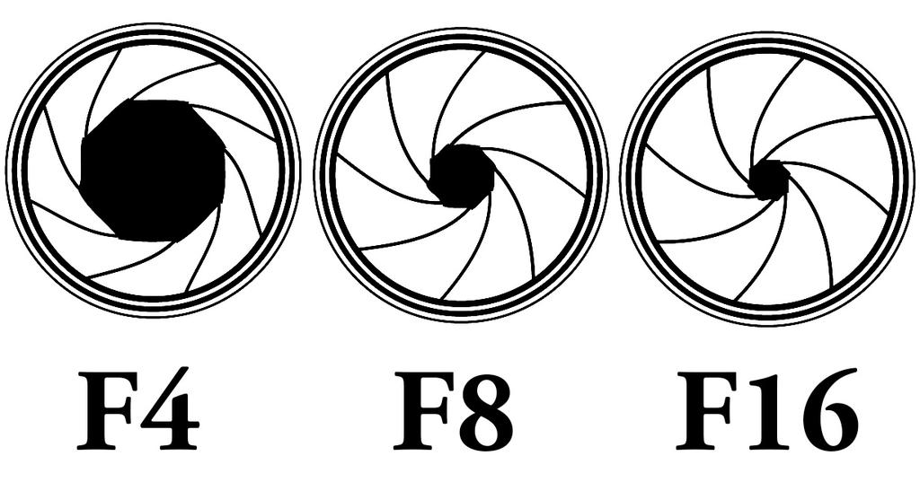 APERTURE An aperture is the size of the opening in the lens, commonly referred to as the F-number of F-Stop.