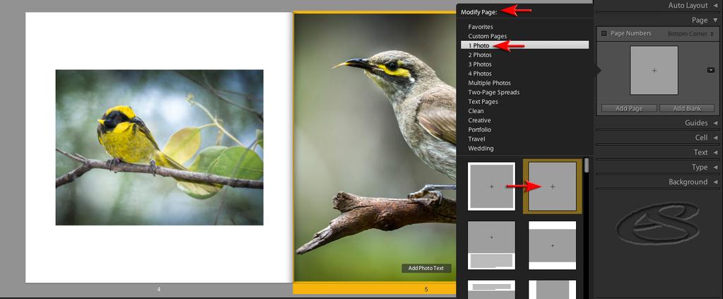 Modify Page In this example, the default Auto Layout has been modified to a page style where the photo on the left has a wider border and the page on the right has a Photo Cell that runs full bleed