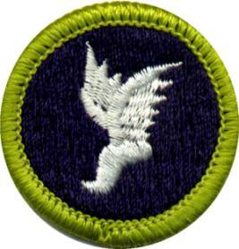 Athletics Merit Badge Name _ Unit Campsite Requirement 3: Select an athletic activity to participate in for one season (or four months).