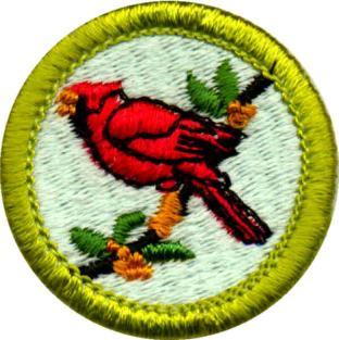 Bird Study Merit Badge Name Troop Campsite The following requirements would be much easier to finish before coming to camp.