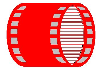 circular pattern). The rotor is placed inside the the stator.
