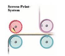 possible Screen print coating system: transfer of adhesive only in the