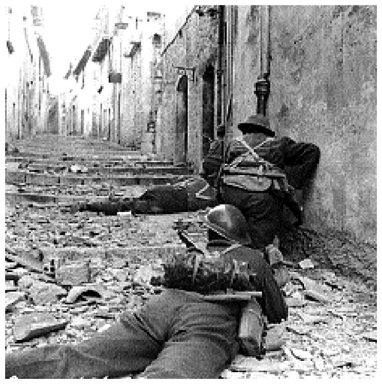 The Italian Campaign Canadian troops joined the assault on Sicily in July of 1943.