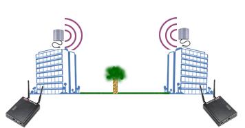 1. Rolul reţelelor wireless MAN - Conexiuni punct-la-punct