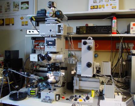 detection aperture detectors monochromator Nanoscopic Analysis VIS-camera SPM-Unit Zeiss Universal- Microscope-Spectral- Photometer UMSP 80