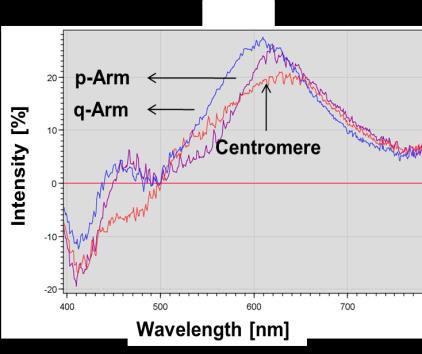 Nanoscopic Analysis Scanning Near Field Optical Spectroscopy (SNOS) Using