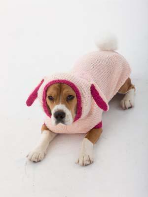Knit this adorable dog sweater for a beloved pet.