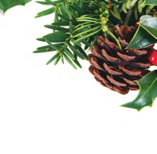 Holiday Gift Items Seed Wreaths