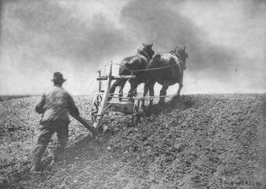 S o n g t o t h e M e n o f E n g l a n d A poor English farmer plowing a field. The poem contrasts the poor ploughman with the wealthy lord.