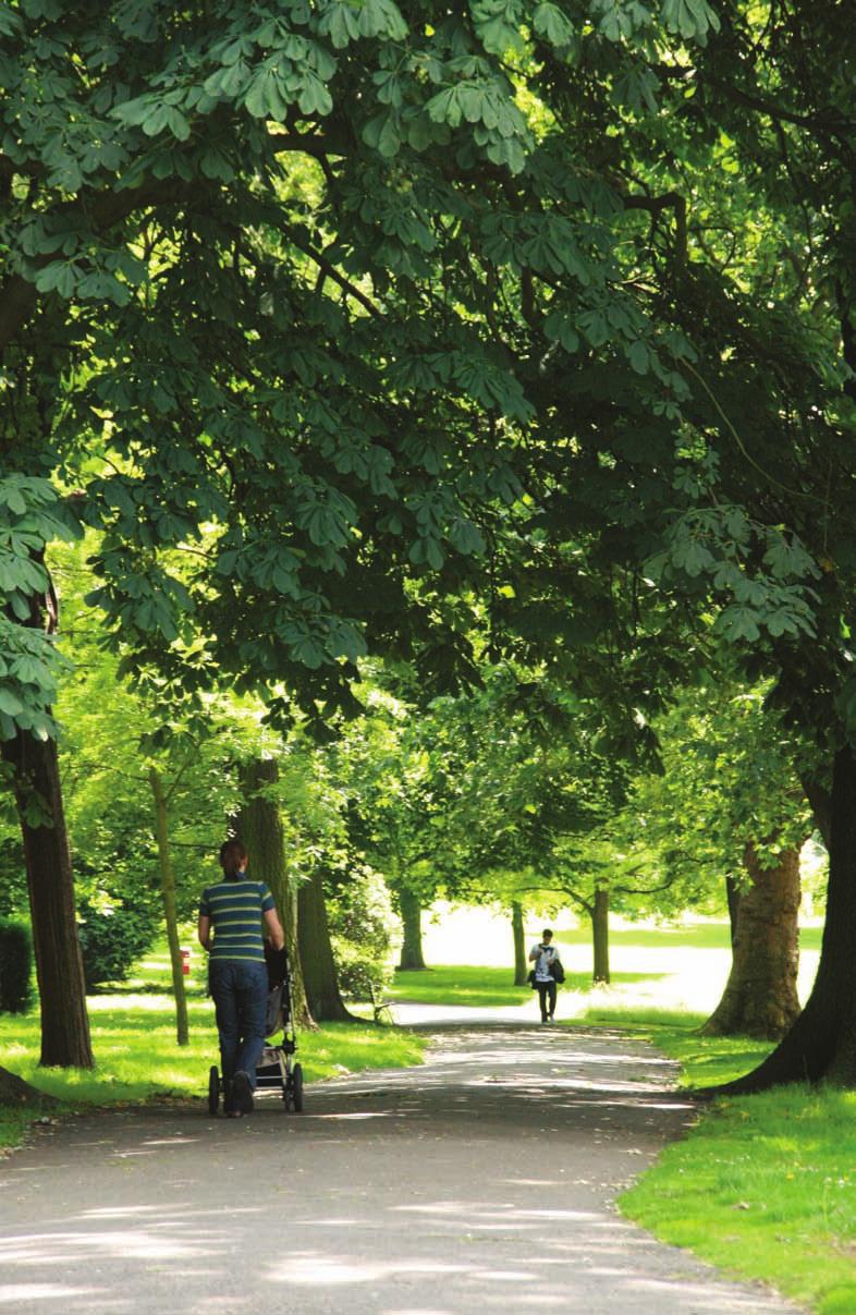 A Sustainable City The major boost that the borough s parks have received will see these spaces revitalised and given a much clearer purpose.