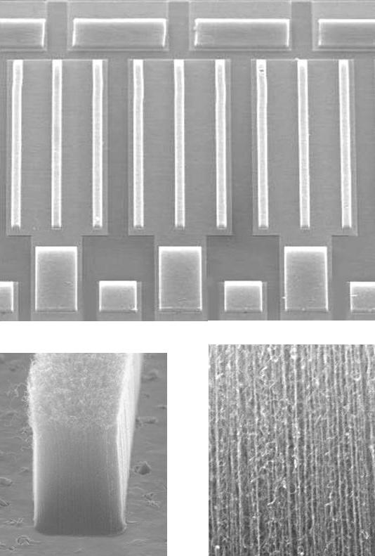 250 µm Drain bump High-power transistor chip AIN substrate Source bumps High-power