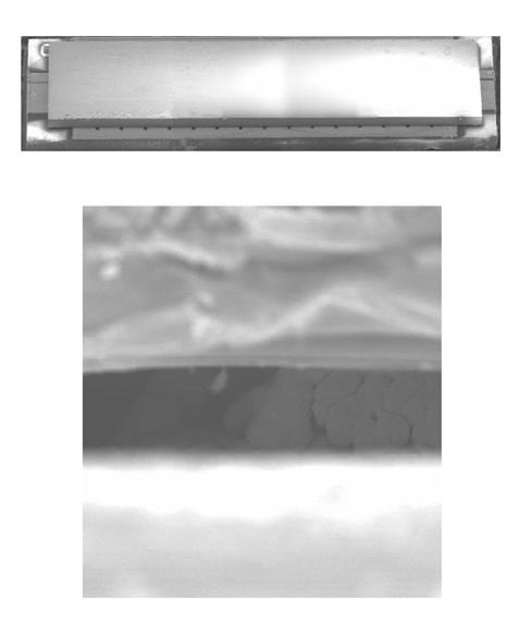 60 40 0 0 5 10 15 25 Drain voltage (V) Figure 6 SEM image of CNT bumps after Au-plating.