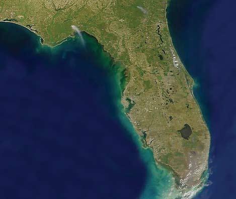 l [the state] [the climate of support] Florida has research parks and institutes helping to fuel the state s innovation economy as well as university centered technology incubators that provide