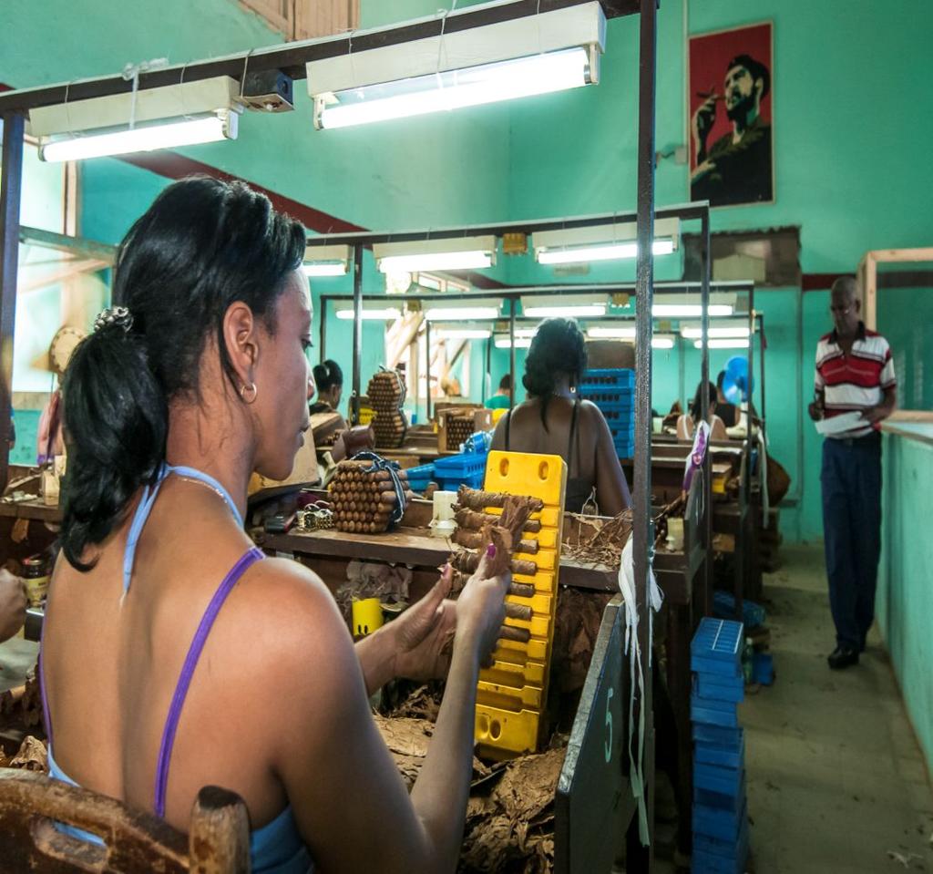 AGROTOURISM: OPPORTUNITY IN CUBA Cigar