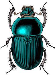 beetle.