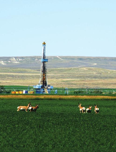 2010 ANNUAL REPORT 19 Unconcerned by a Chesapeake drilling rig, antelope continue their daily routines