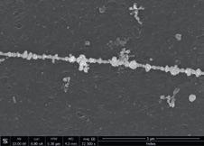 LINES  NANOPARTICLES