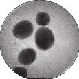 nanoparticles, we