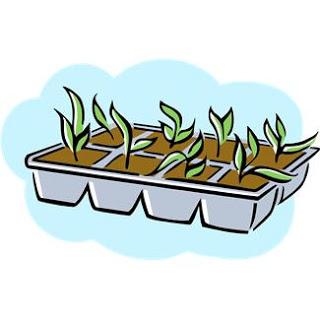 PLANT FARM STATION Student Name: What are some things that are true about plants and the Plant Farm in our colony? Plants are not important for our survival.