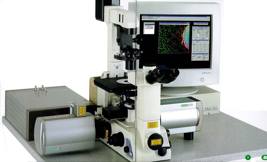 Multiphoton Confocal Imaging With