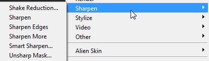 Sharpen Edges is similar, though its effect is mainly focussed on areas of the image where there is a large contrast in colours. The Unsharp Mask filter allows you to adjust the amounts of the filter.