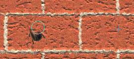 6) [Alt]-click to sample a part of the image in the middle of a brick. 7) Paint over the beetle to replace it with the sampled brick area as shown below.