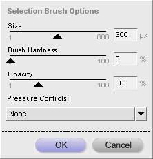 STEP 4: Adjust the effective blur range For natural blurring characteristics, use the Plus Brush (+ Selection Brush) to adjust the effective blur range. Select the Plus Brush.